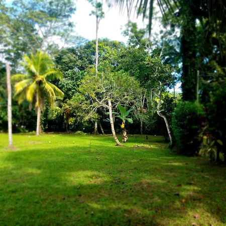 Casita Amarilla Villa กาอุยตา ภายนอก รูปภาพ