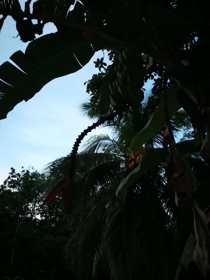 Casita Amarilla Villa กาอุยตา ภายนอก รูปภาพ