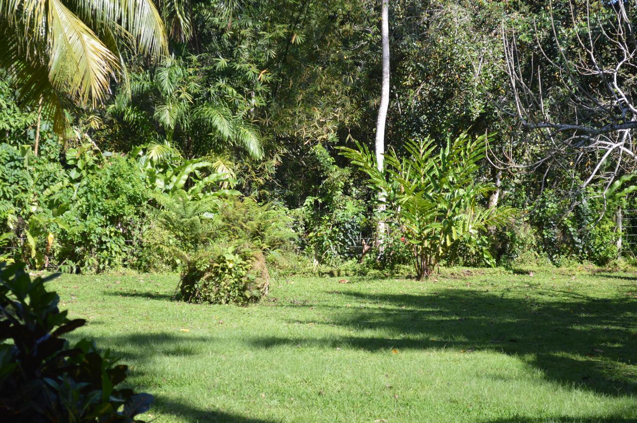 Casita Amarilla Villa กาอุยตา ภายนอก รูปภาพ