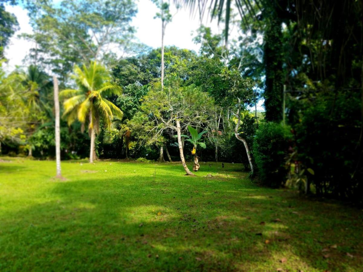 Casita Amarilla Villa กาอุยตา ภายนอก รูปภาพ